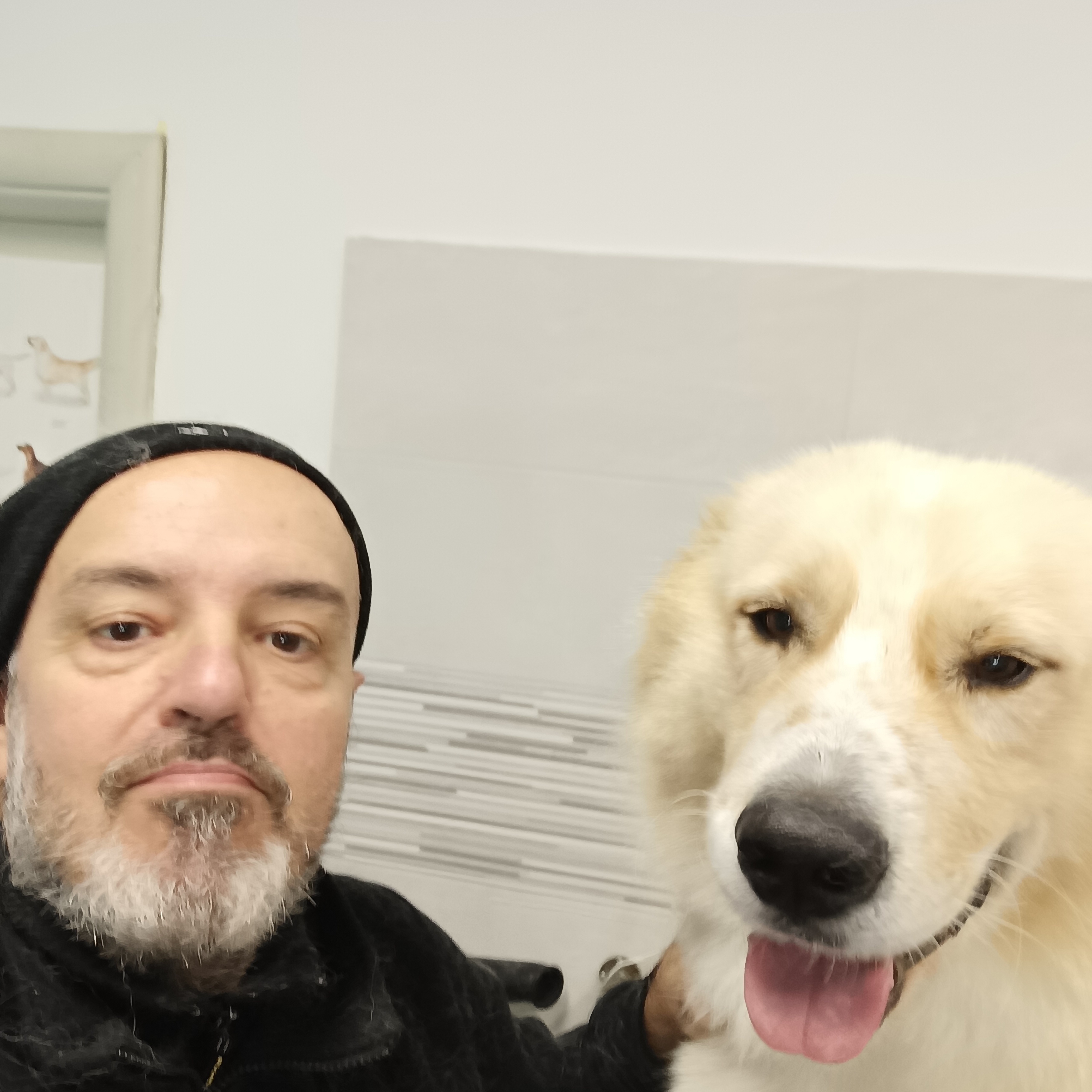Foto profilo di @MERAK