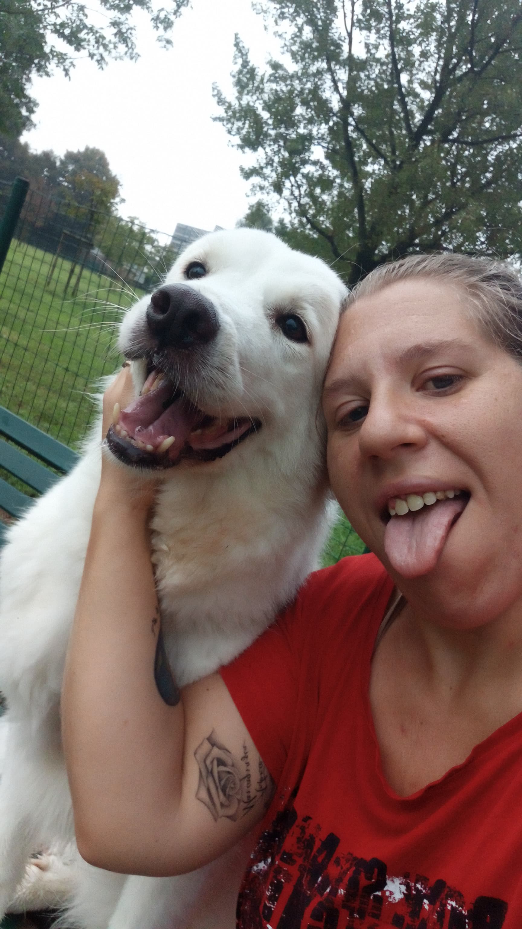 Foto profilo di @ILPARADISPDEGLIANIMALI-8